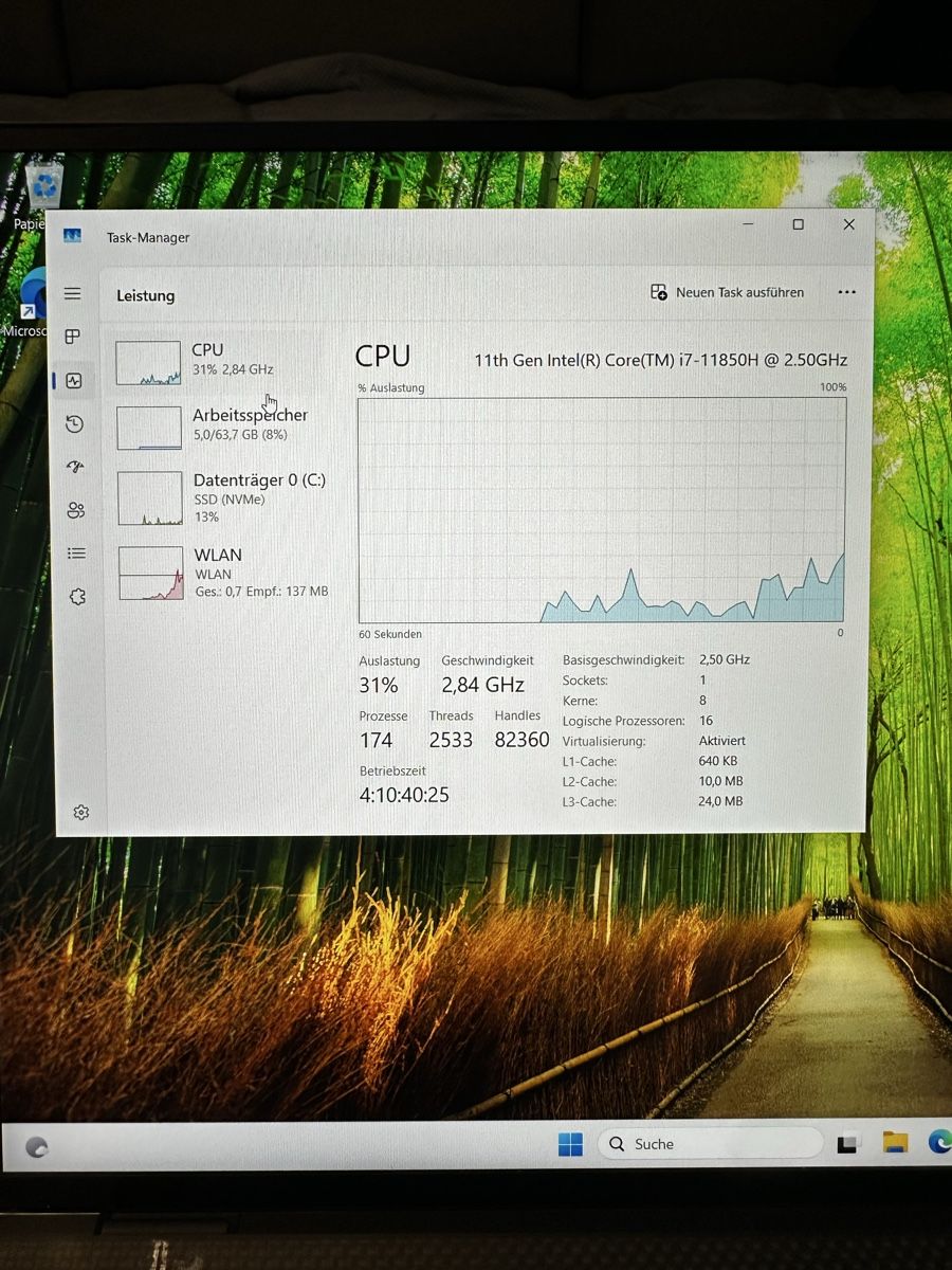 Dell Notebook: Dell Precision 5560 64GB RAM 2TB SSD – Usato da Uster venduto da GabrielP05 5