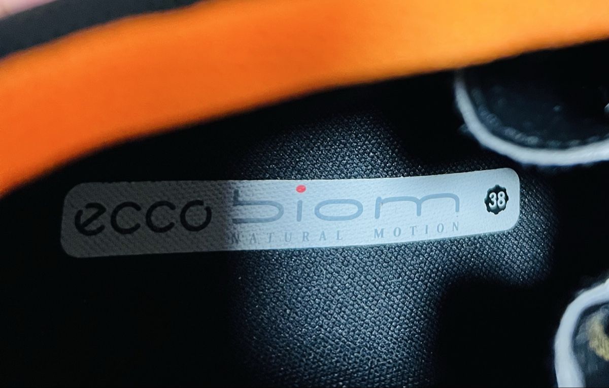 Ecco Scarpe da uomo: Ecco Biom Wanderschuhe Gr. 38 - Top – Nuovo (secondo la descrizione) da Scuol venduto da ricos81 6