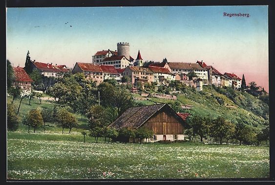 Ansichtskarten: AK Regensberg, Teilansicht – Gebraucht aus Berlin von bartko-reher