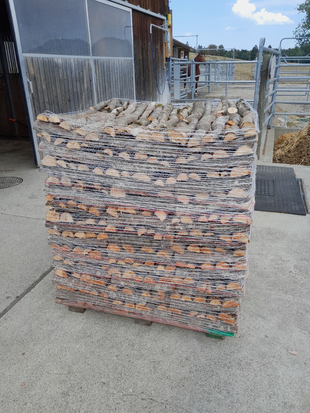 Articoli in legno: Brennholz Buchenäste – Nuovo (secondo la descrizione) da Schlierbach venduto da haflinger66