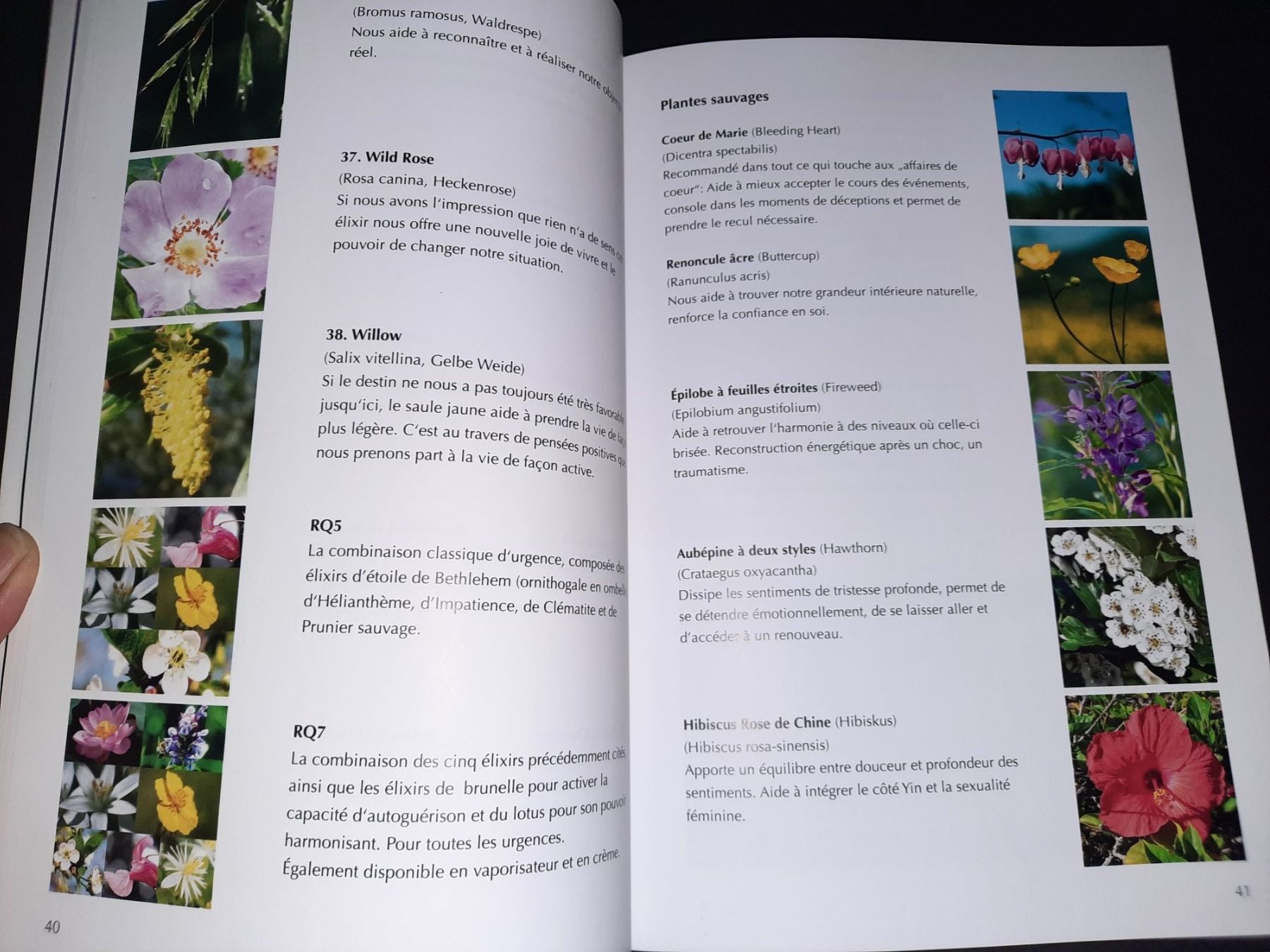Bücher: Luminothérapie Holistique HLT – Gebraucht aus Biasca von Old_6blh 2