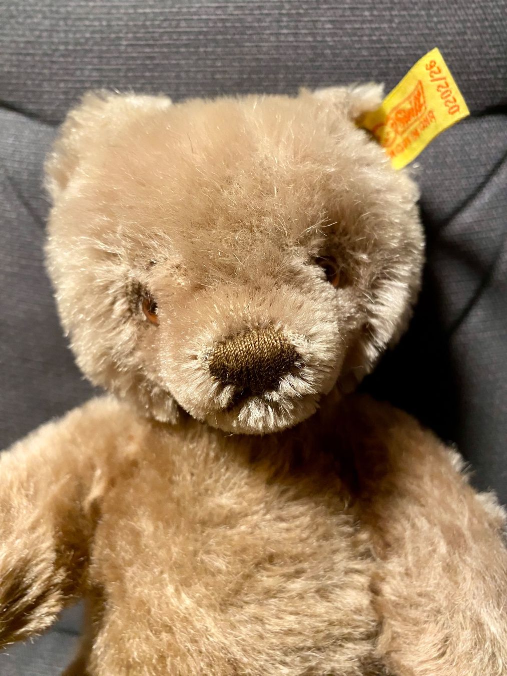 Steiff Jouets: Steiff Teddybär – D'occasion à Neuenhof par v_trin 1