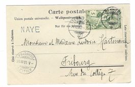 Stabstempel Naye / Territet 1900 6l