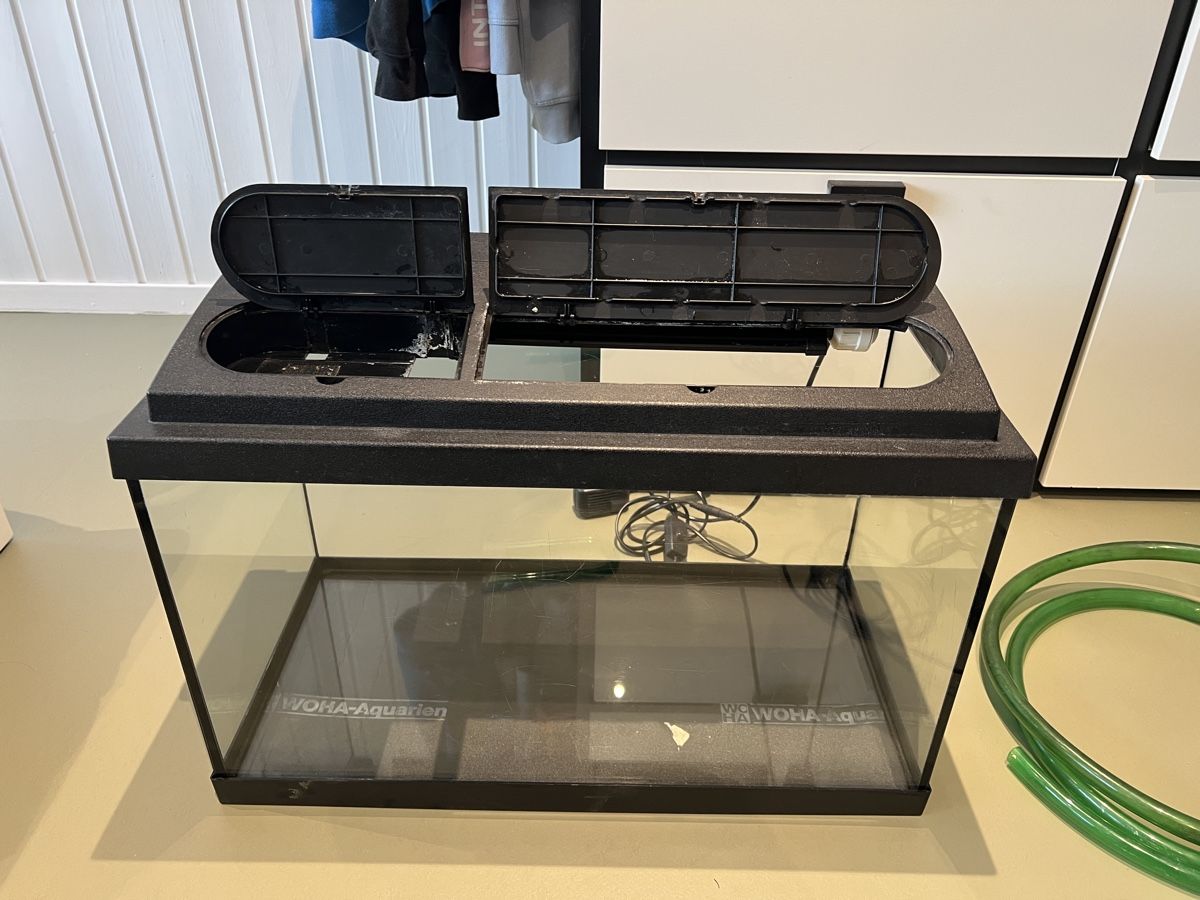 Acquari: Aquarium 60 litres et accessoires – Usato da Villars-sur-Glâne venduto da Captainguy 5