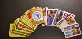 Panini 2026