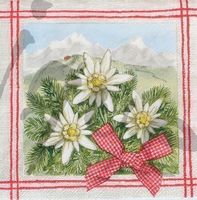 Serviette edelweiss (b224) 2Stk.