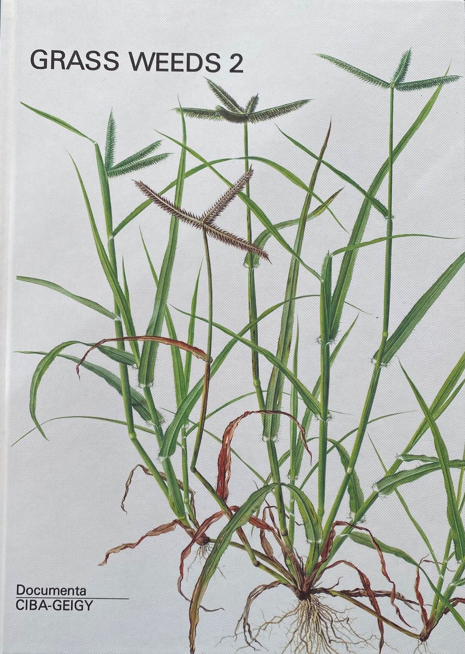 Libri: Buch: Grass Weeds 2 – Nuovo e nell'imballaggio originale da Hochwald venduto da robwol