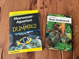 Meerwasser-Aquarium für Dummies und Bunte Zierfischwelt