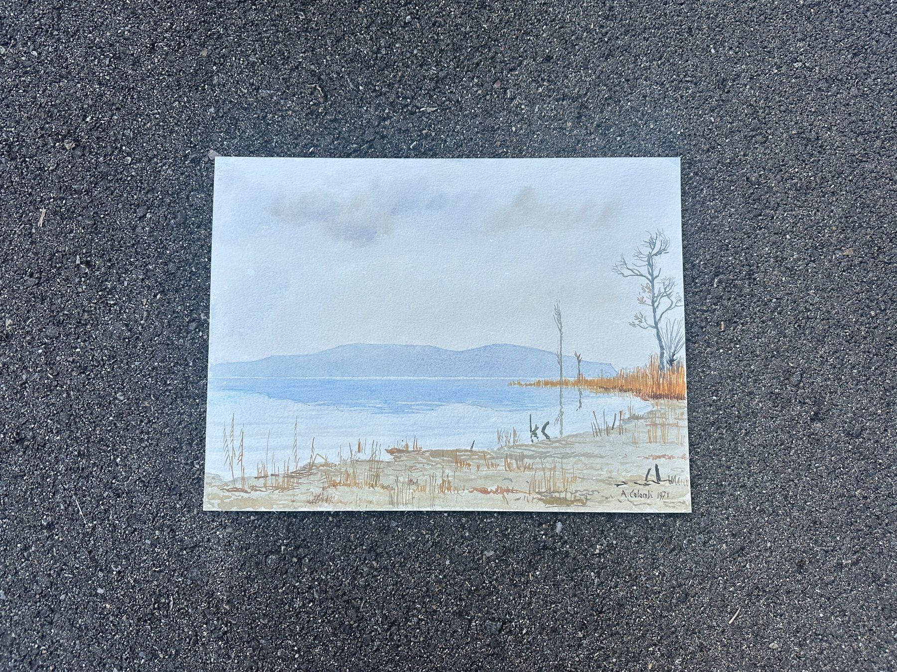 Dipinti: Aquarell von Armin Colombi – Usato da Zürich venduto da frauflufelberg 1