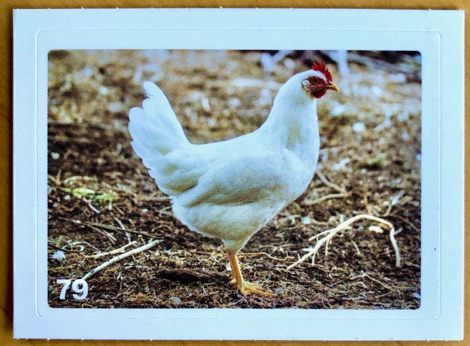 Migros Carte collezionabili: Migros Nature Detectives - Bild Nr. 79 – Nuovo (secondo la descrizione) da Oberrieden venduto da Zimmerberg10