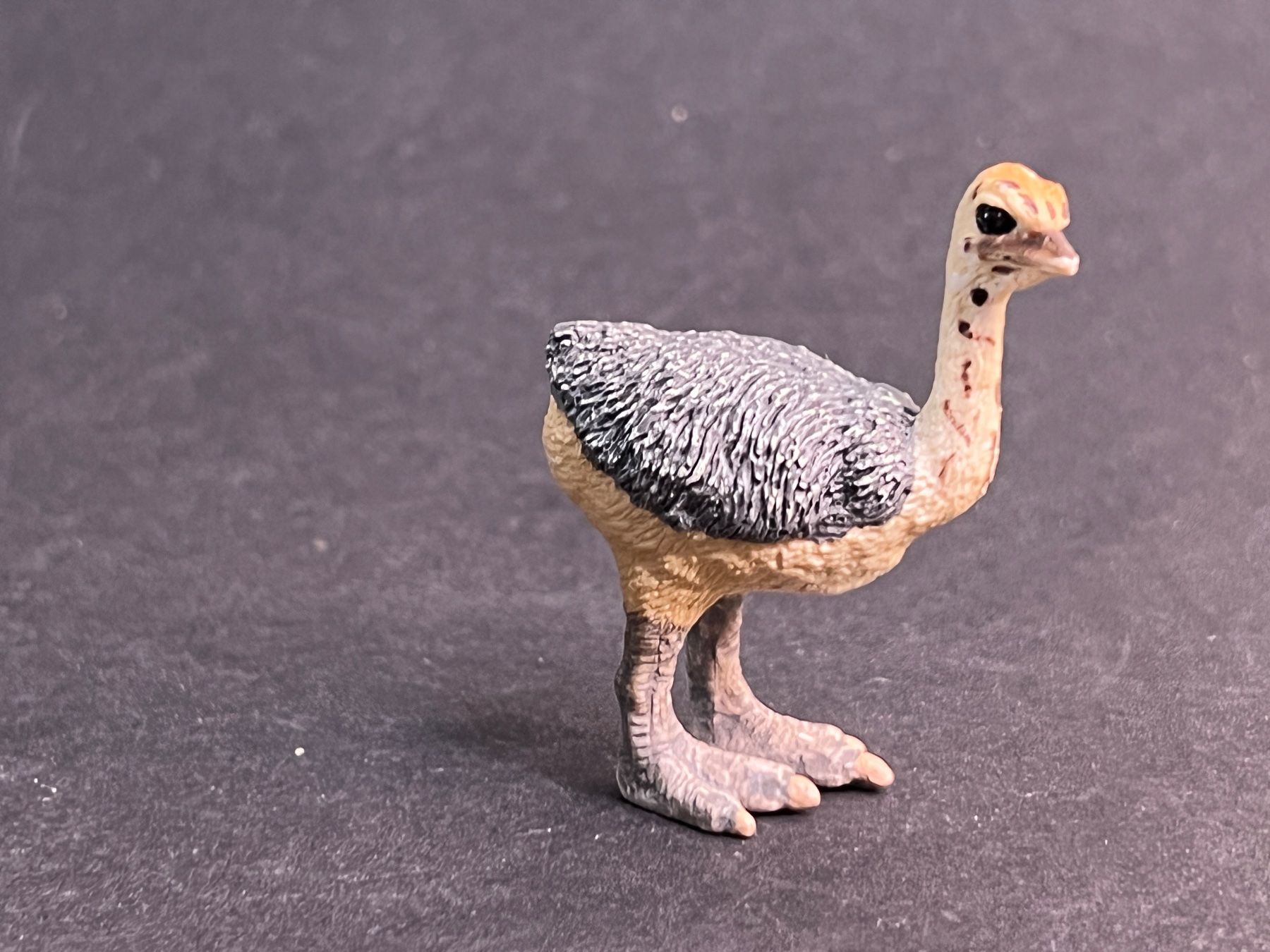 Schleich Figuren: Schleich Strauß und Straussenjunges Strauss – Gebraucht aus Ennetbaden von mapa05 4