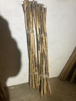 Holzpfahl 