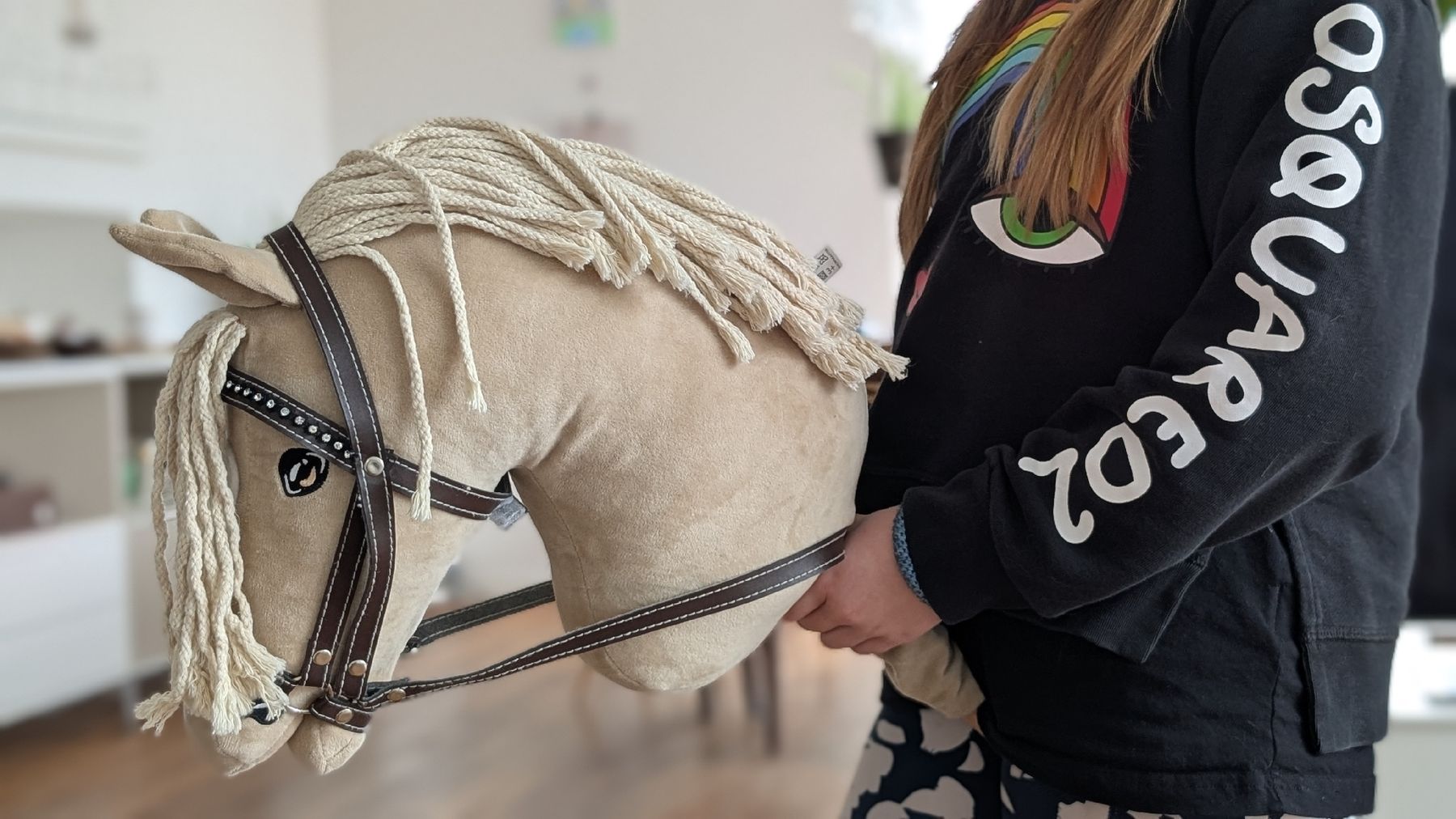 Spielzeuge: Felix Bühler Hobby Horse – Gebraucht aus Männedorf von Luethit