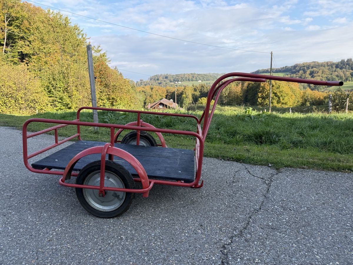 Rimorchi: Velo- Töfflianhänger – Usato da Plasselb venduto da MatthD