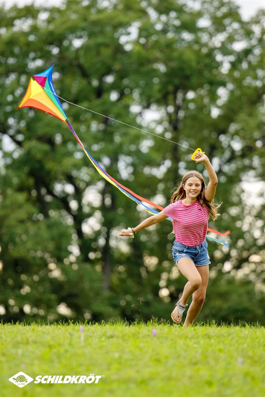 Aquilone: Lenkdrache Classic Kite 70 Diamond – Nuovo e nell'imballaggio originale da St. Gallen venduto da cointec 4