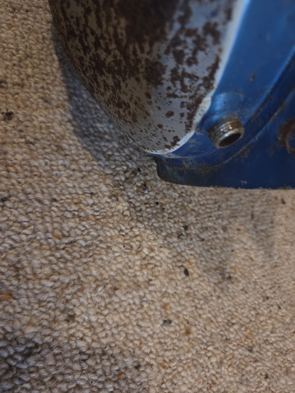 Alpa Mofa-Ersatzteile: Sachs Rixa Alpa Hercules Tank – Gebraucht aus Eichberg von Schmid-Motos 6