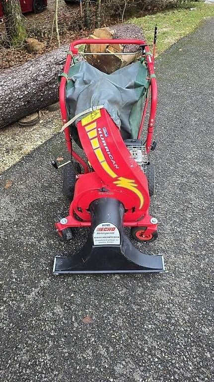 Aspirapolveri & Accessori: Aspirateur à feuille ECHO  – Usato da Court venduto da Rocs_fb 1