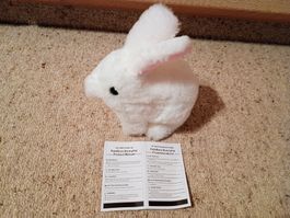 PetsBoro Bunny Pal-interaktives PlüschHäschen
