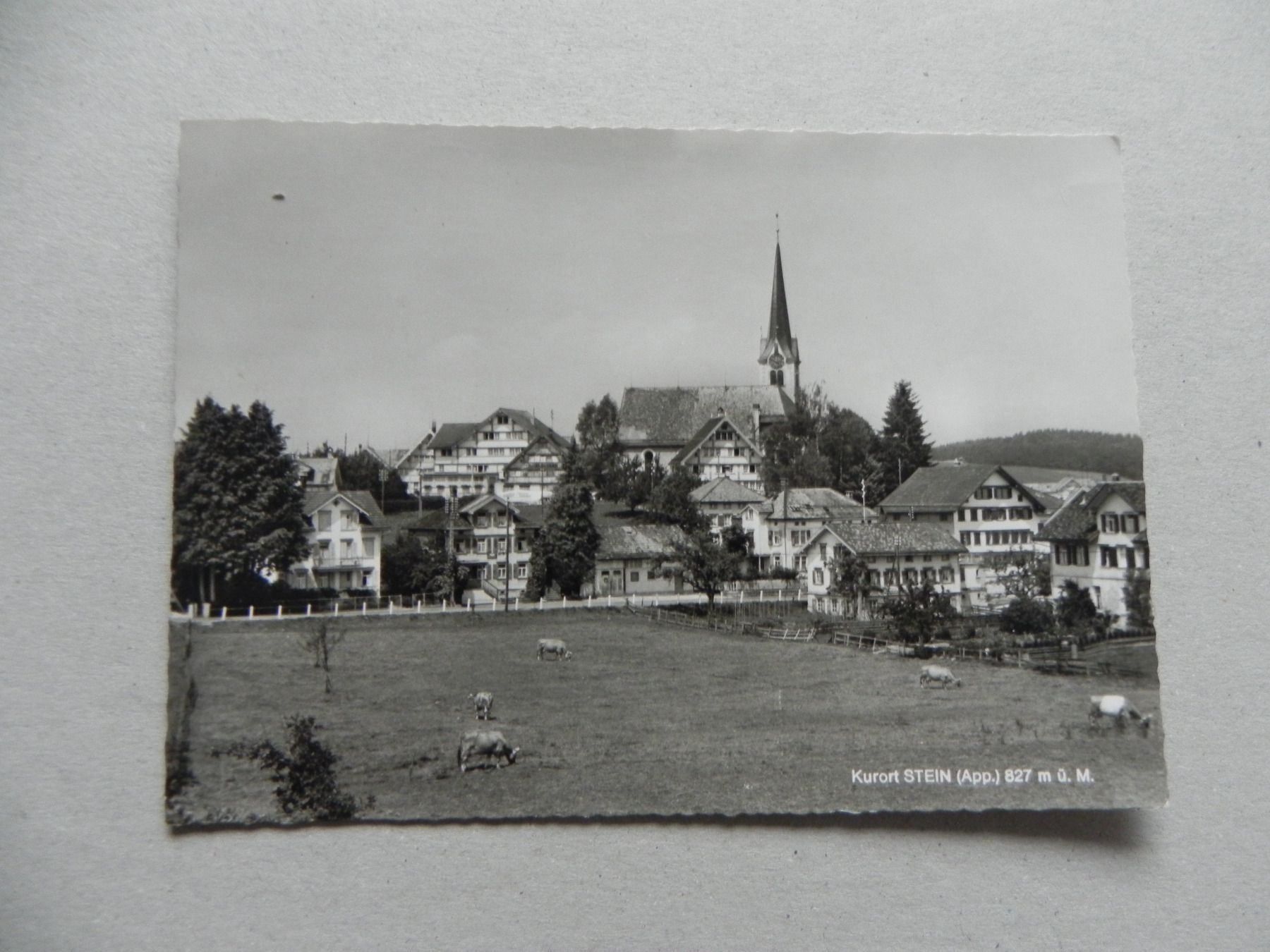 Cartoline postali: Ansichtskarte Stein AR Appenzell 1966 – Usato da Siebnen venduto da krimsie