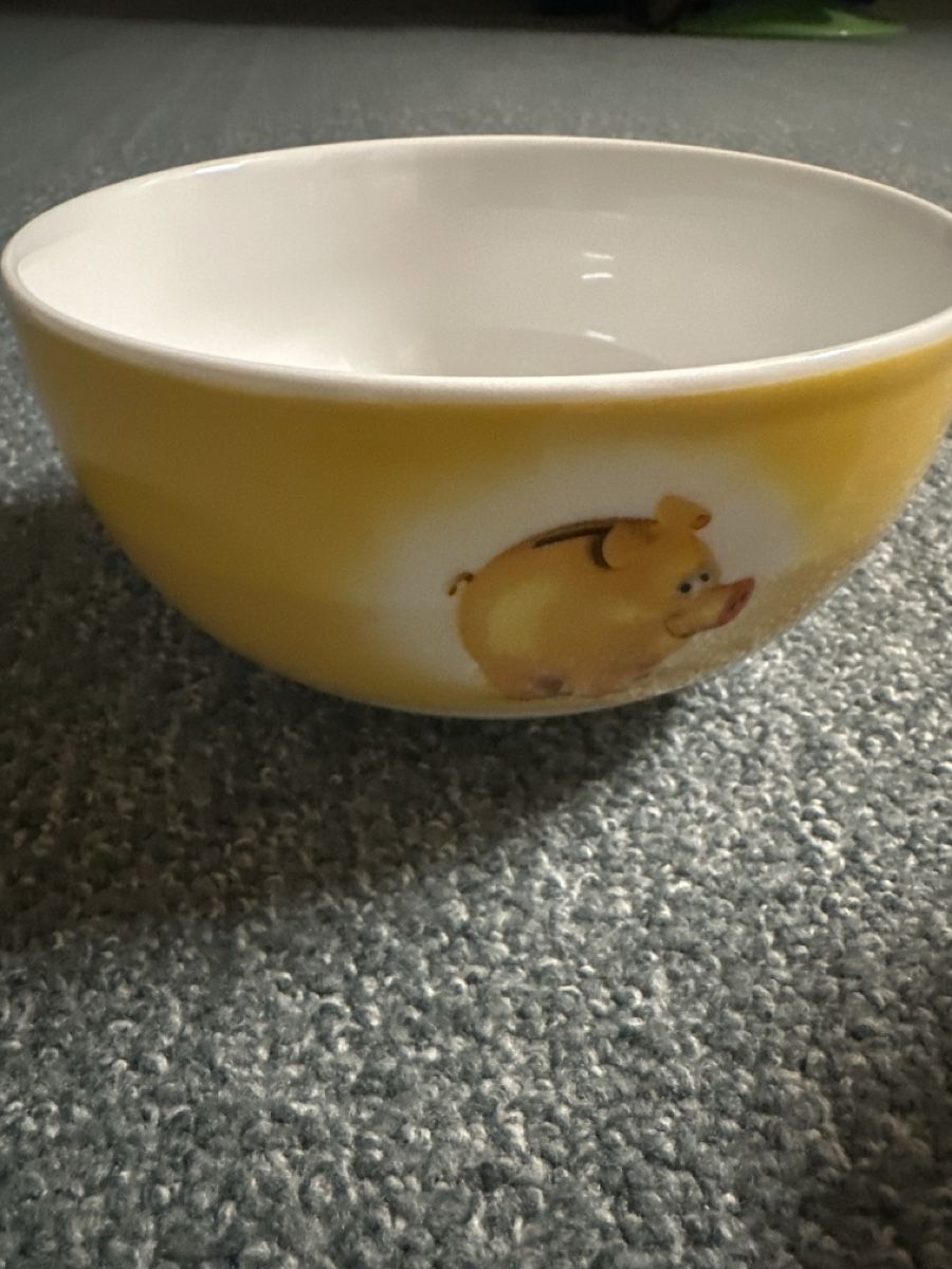 Migros Set di piatti: 4 Tassen/ 3 Schalen Migros – Usato da Baltschieder venduto da YmroBe 2