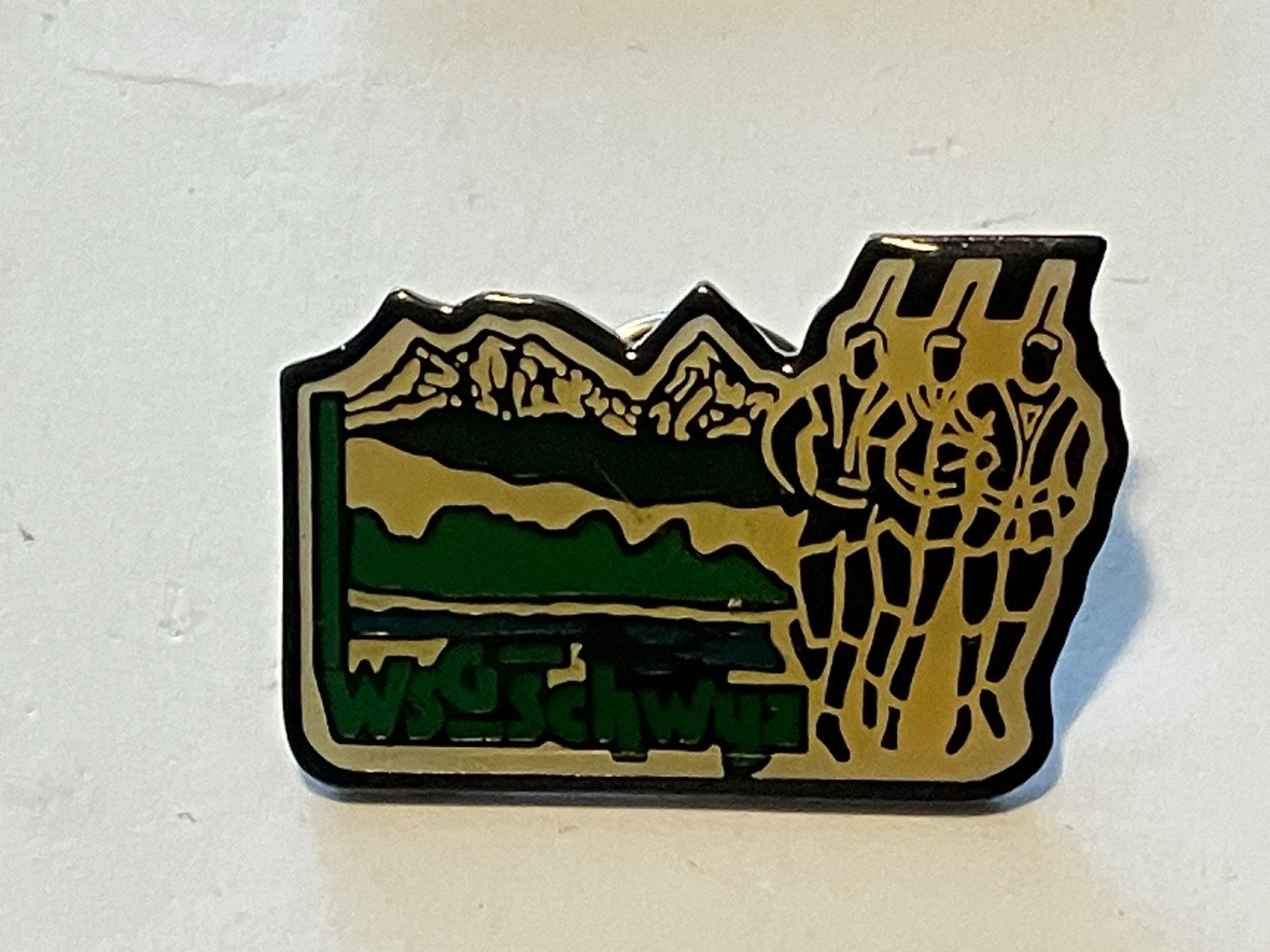 Plaketten & Abzeichen: 1 Pin WSG Schwyz – Gebraucht aus Basel von djwwpp