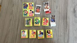 463 Panini Stickers