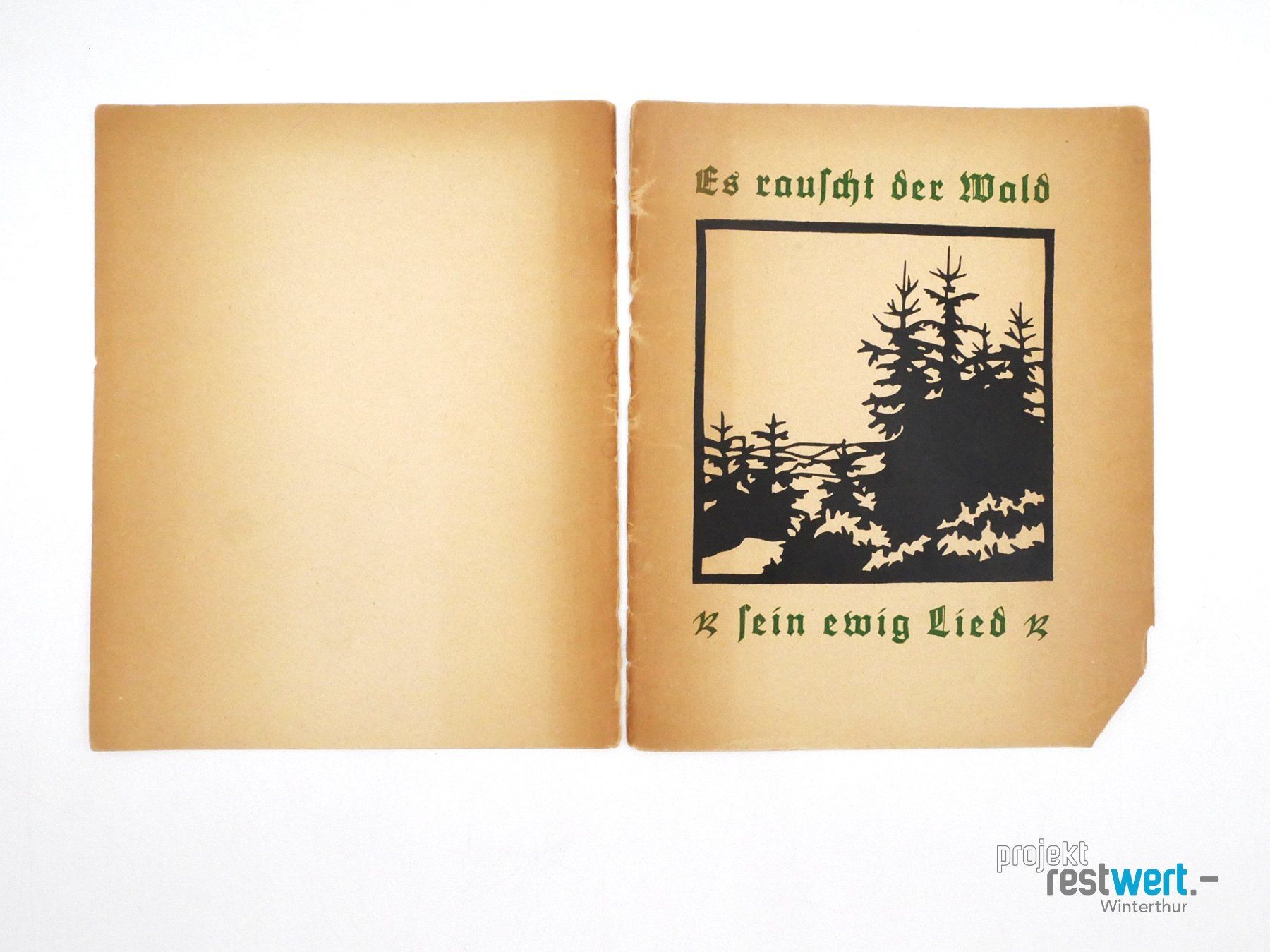 Libri: E. SCHAUFF - Es rauscht der Wald sein ewig Lied – Usato da Winterthur venduto da Restwert_Winterthur 2