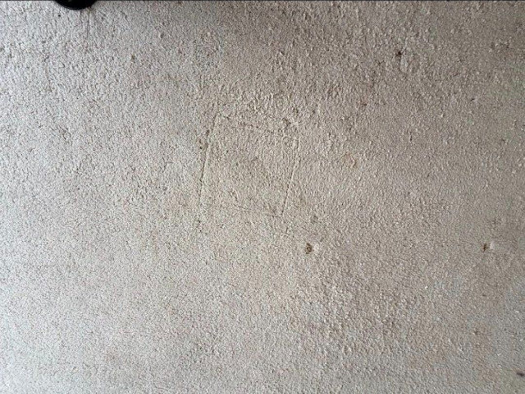 Tappeti: Teppich, creme-weiss, 365 cm x 295 cm – Usato da Oberengstringen venduto da Gal 4