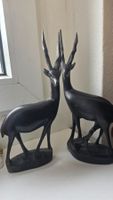 Antilope Familie