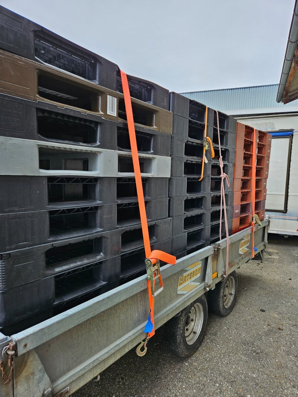 Pallets: Kunstoff Paletten – Usato da Burgdorf venduto da Margrit00