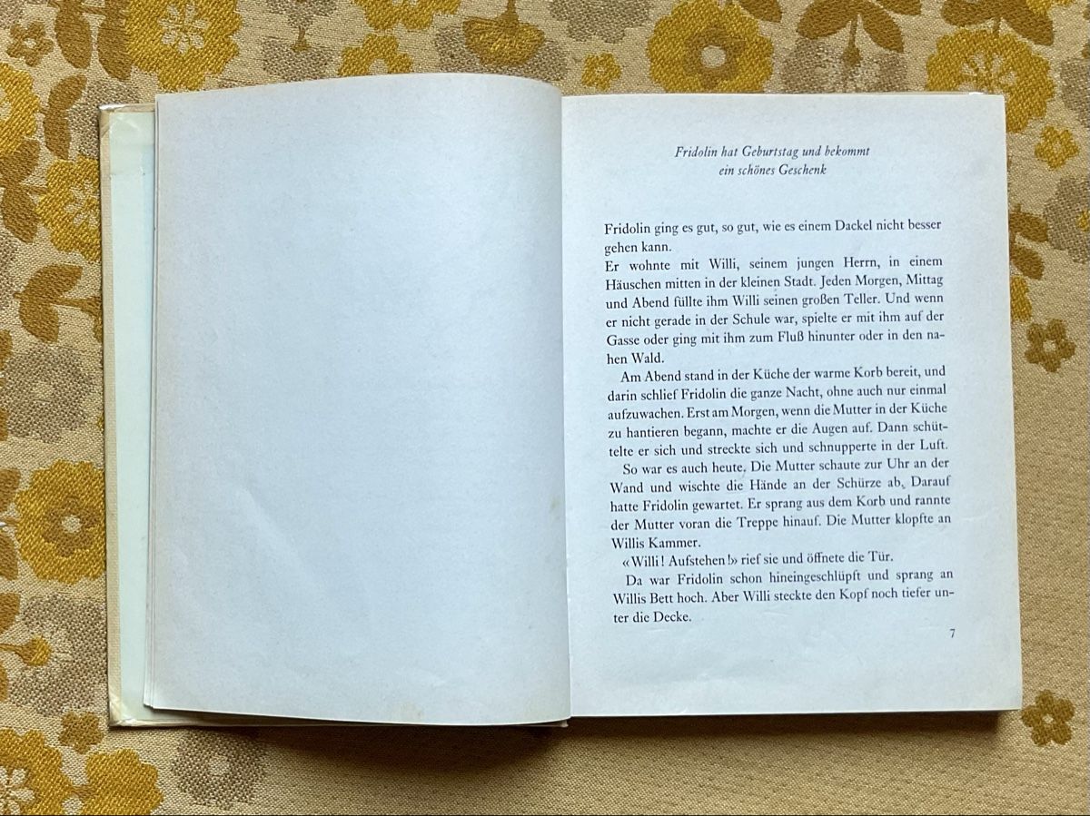 Libri: Fridolin Kinderbuch 1971 – Usato da Endingen venduto da nathan05 7
