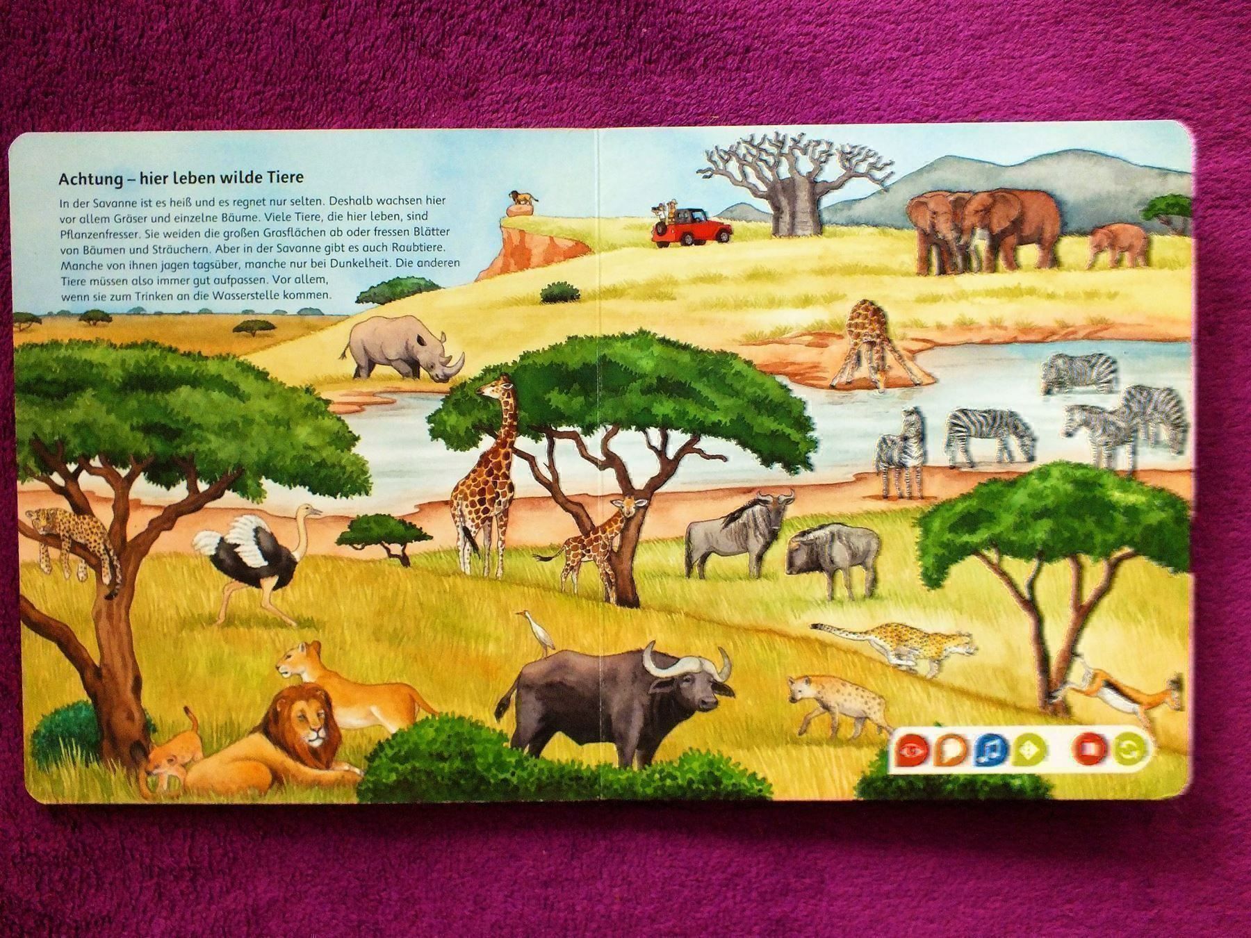 Bücher: tiptoi Buch - Bilderlexikon Tiere – Gebraucht aus Müllheim Dorf von Seeeule01 4