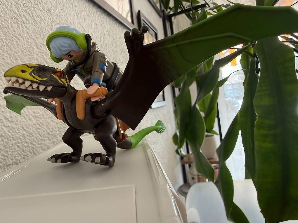Giocattoli: Playmobil Expeditionsteam – Usato da Köniz venduto da Kroaah 1