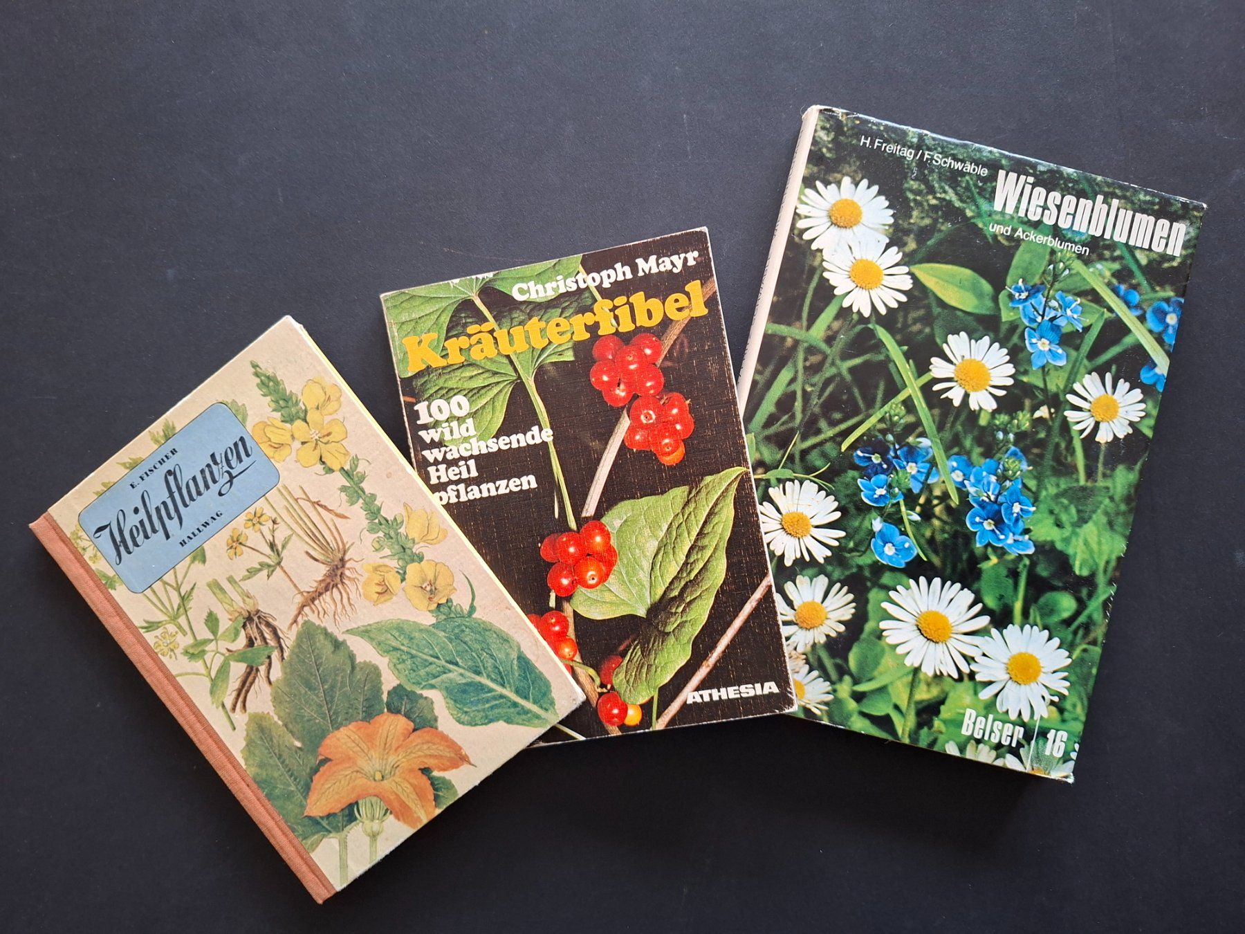 Bücher: Blumenbücher – Gebraucht aus Goldach von armando_r