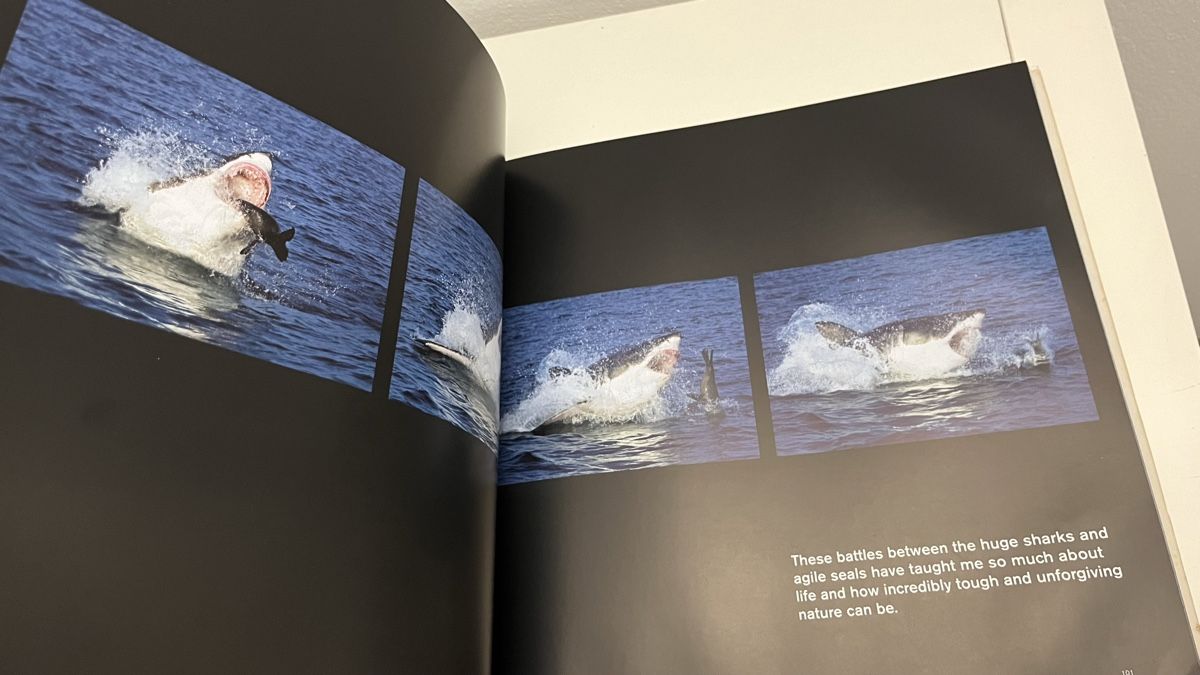 Bücher: Great White Shark – Gebraucht aus Wallisellen von S_lb 5