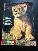 Junior Zeitschrift 2/1978, Rarität