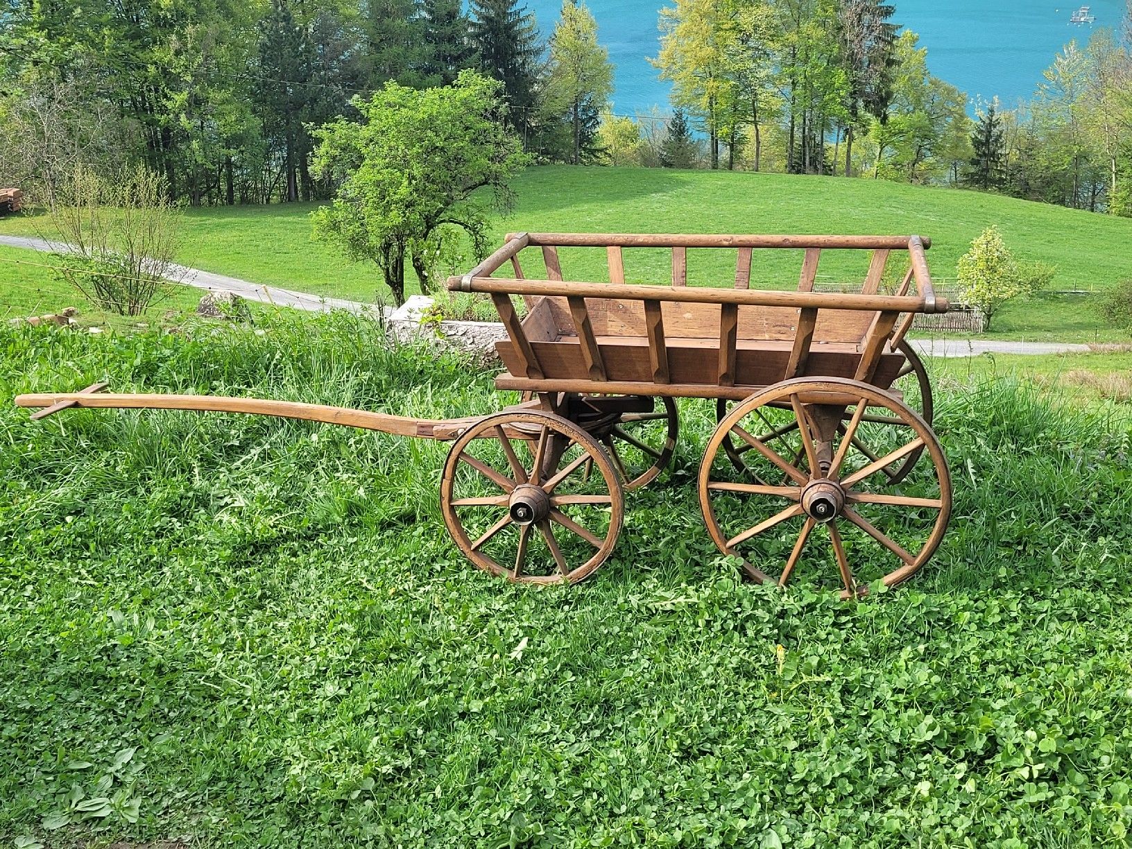 Carriole: Leiterwägeli mit Deichsel. Guter Zustand – Usato da Brienz BE venduto da Hundechef 5