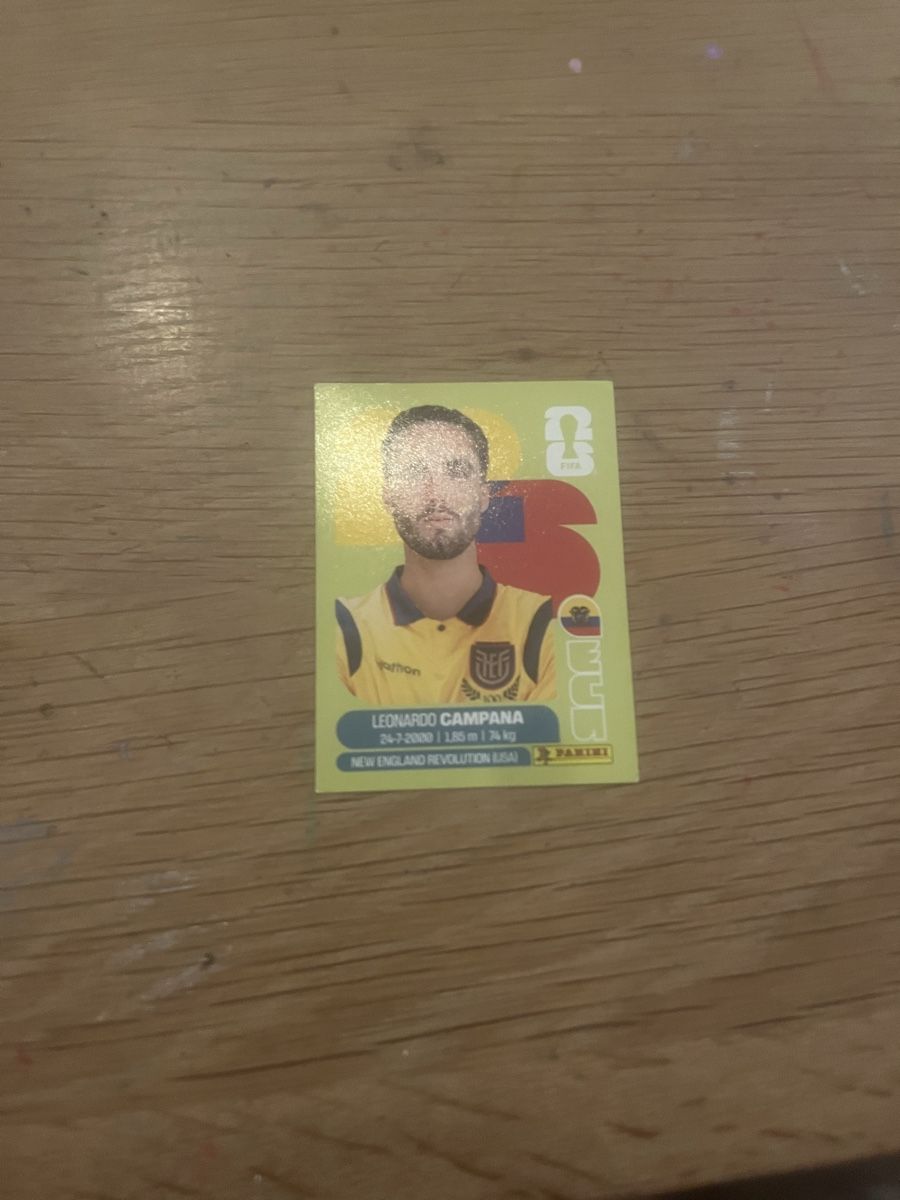 Panini Carte collezionabili: Paninis Divers – Nuovo (secondo la descrizione) da Zürich venduto da Noth020570 3