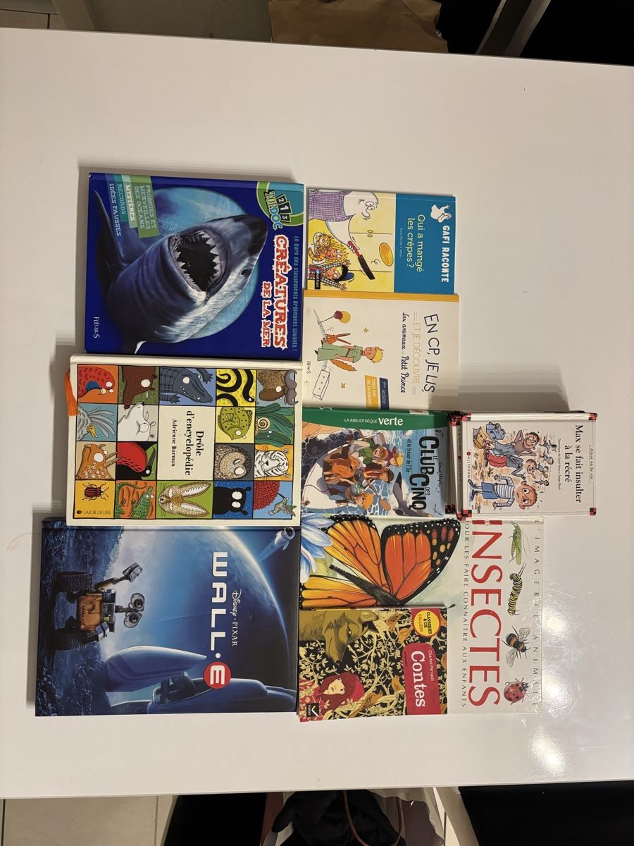 Libri: Différent livre lot ou unité  – Usato da Lausanne venduto da volkenito 4