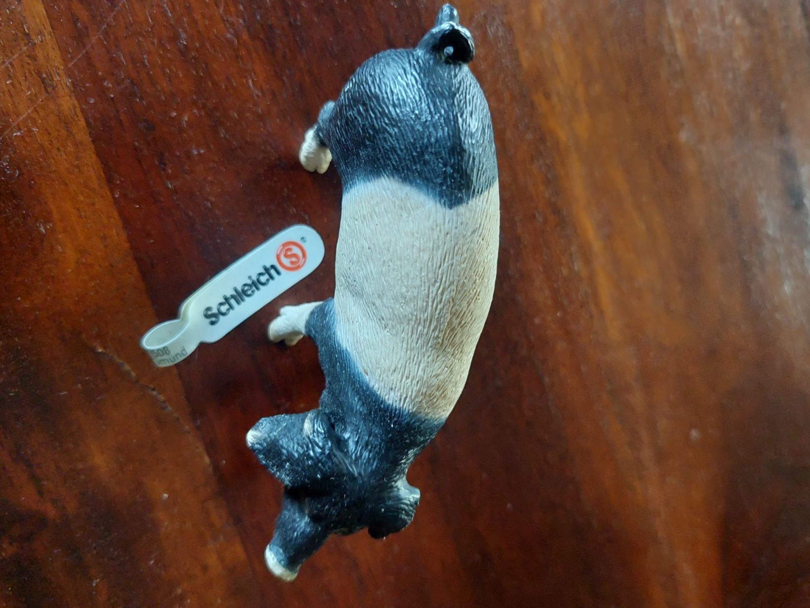 Schleich Spielzeuge: Schleich Schwein – Neu und originalverpackt aus Beckenried von Havacola