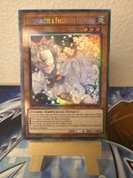 Yu-Gi-Oh! Aschenblüte & Freudiger Frühling / Collectors 🇩🇪