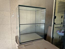 Terrarium 