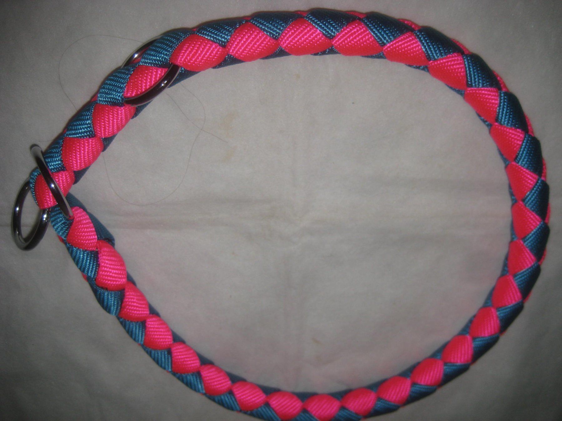 Leine & Halsband: HUNDE HALSBAND – Neu (gemäss Beschreibung) aus Uster von flocke1
