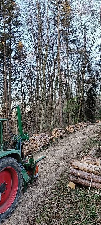 Articoli in legno: Brennholz Buche – Nuovo (secondo la descrizione) da riniken venduto da petz1981 4