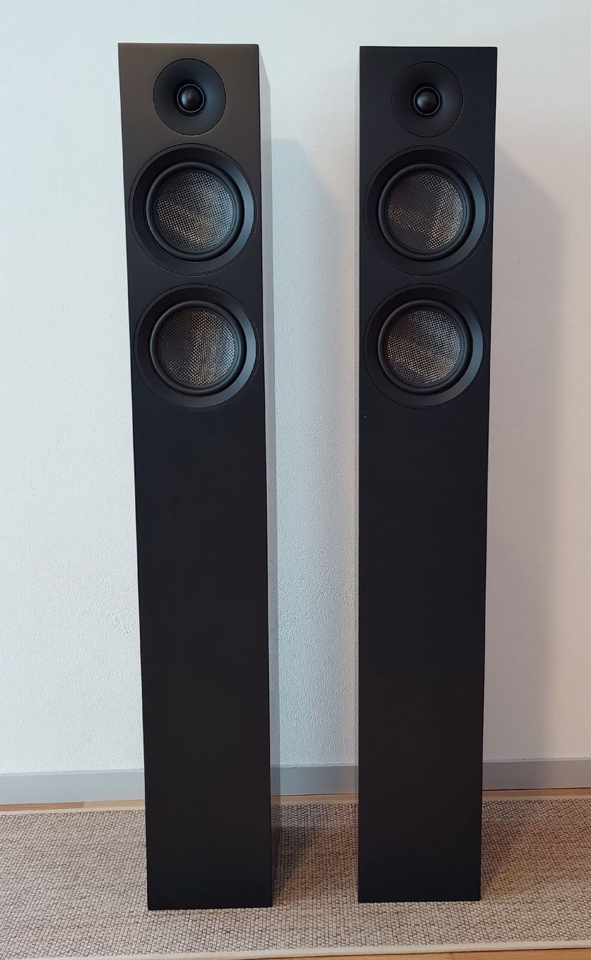 Pro-ject Casse acustiche: Pro-Ject SB 12 E Carbon – Usato da Cham venduto da tuttipaletti