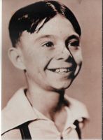 Alfalfa