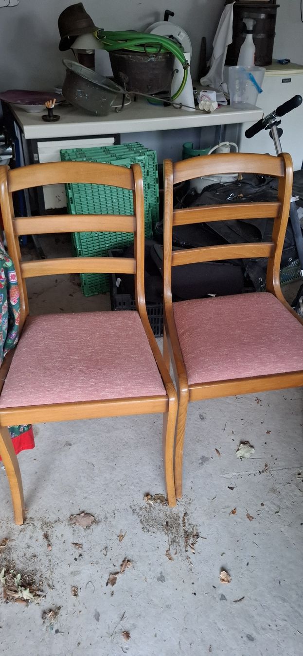 Stühle: Chaises en bois d'arbre – Gebraucht aus portalban von steaktartar