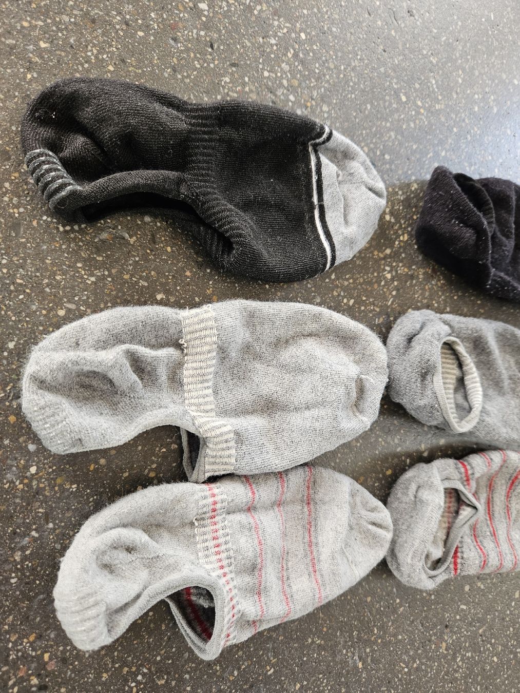 Calze: Socken Sneaker Socken Mix, Grösse 38-42 – Usato da Anwil venduto da tamoos 1