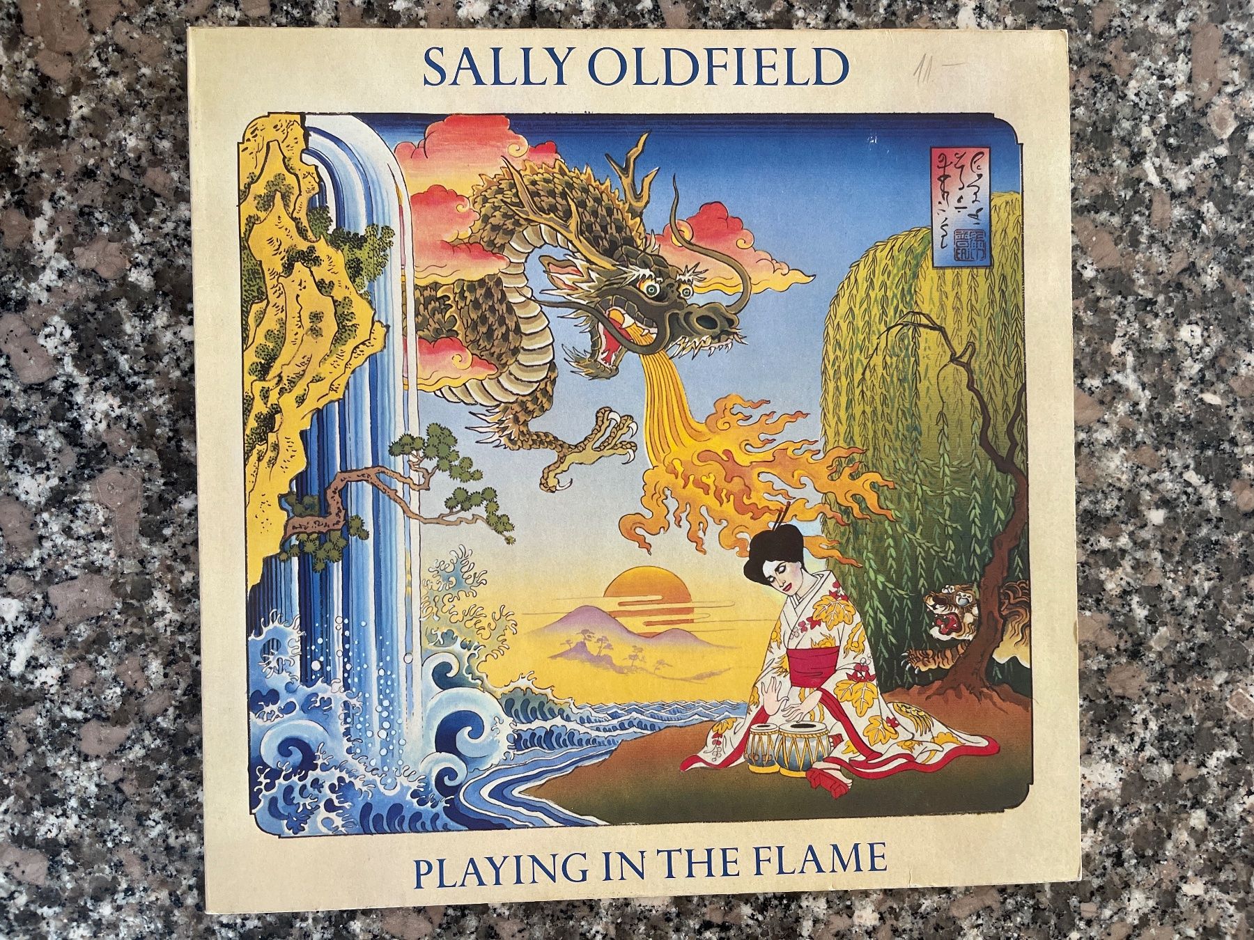 Dischi in vinile: A204/Sally Oldfield - Playing in the Flame – Usato da Frutigen venduto da Philippe_jsp