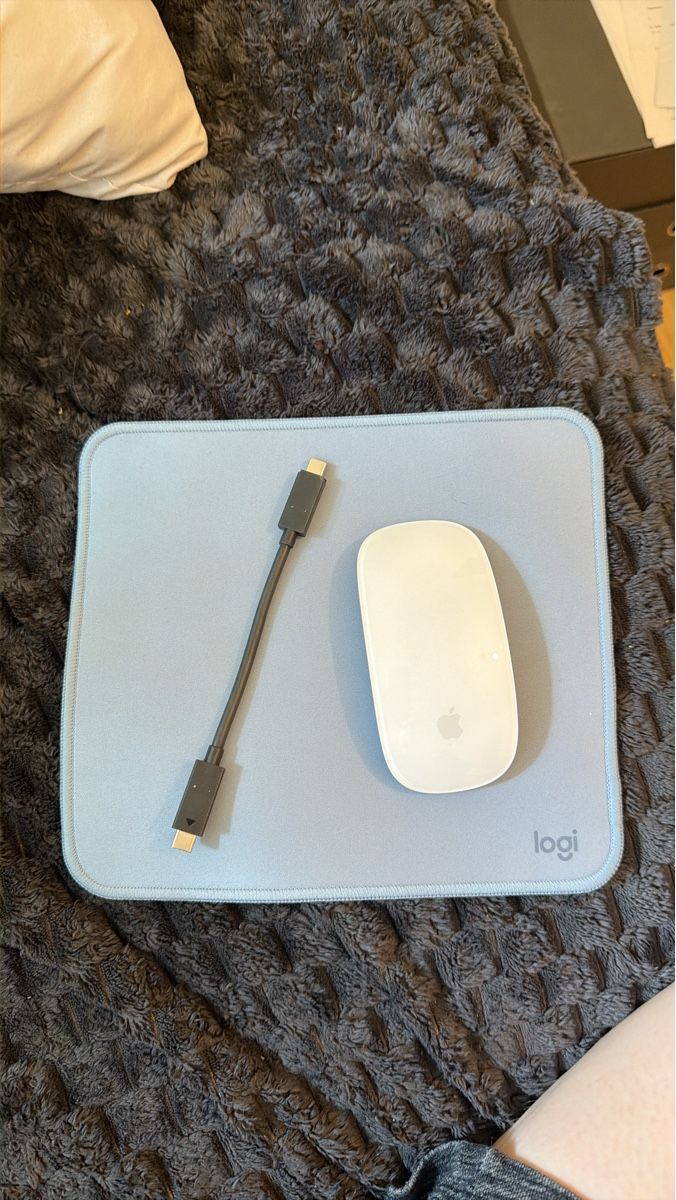 Apple Souris: Apple Magic Mouse 2 und Logi Mauspad USB-C Kabel – Neuf (Voir description) à Zürich par pat_9zks